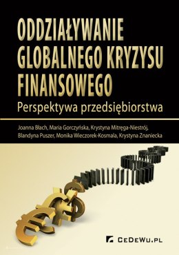 Oddziaływanie globalnego kryzysu finansowego. Perspektywa przedsiębiorstwa